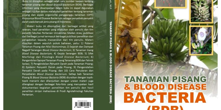 Tanaman Pisang dan Blood Disease Bacteria (BDB)